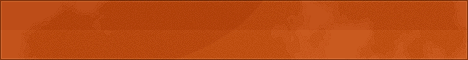 PSD ораньжевый банер